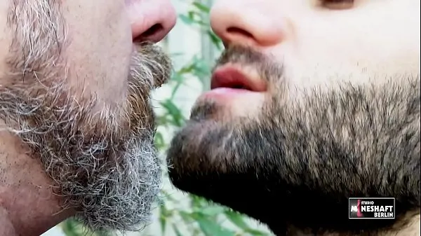 Watch Wolf and Francesco, the teaser energy Tube
