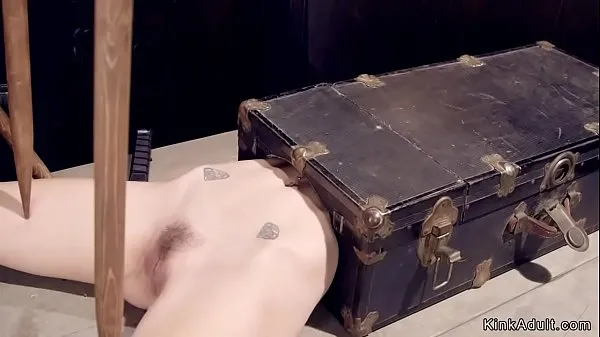 Titta på Blonde slave laid in suitcase with upper body gets pussy vibrated energy Tube
