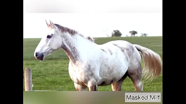 Horny Milf takes giant horse cock dildo compilation | Masked Milf ऊर्जा ट्यूब देखें