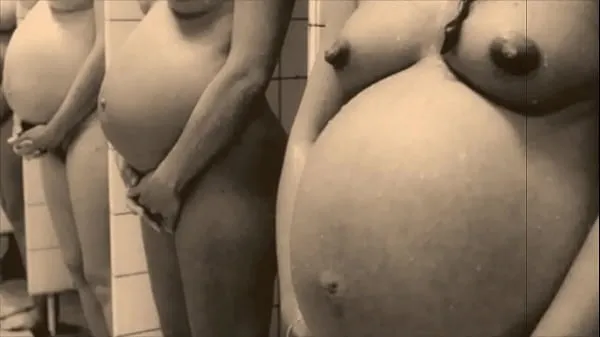 Titta på Retro Pregnant Babes' The Sexual Memoirs of an English Gentleman energy Tube